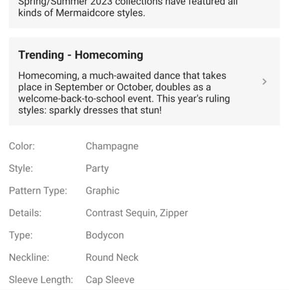 CHAMPAGNE PREMIUM BRAND AND QUALITY SPECIAL EVENT SEQUINED MERMAID MAX… - Picture 7 of 9